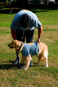 Even the dog gets a t-shirt