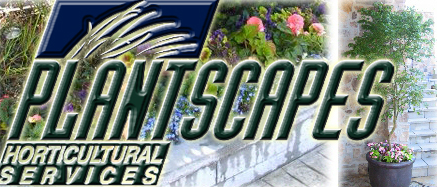 Plantscapes Horticulture Services
